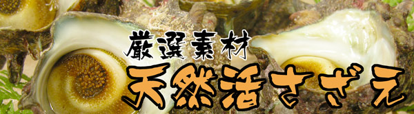 活きサザエ 陸奥湾ホタテの活急便 青森帆立専門店 ほたて屋だいえい